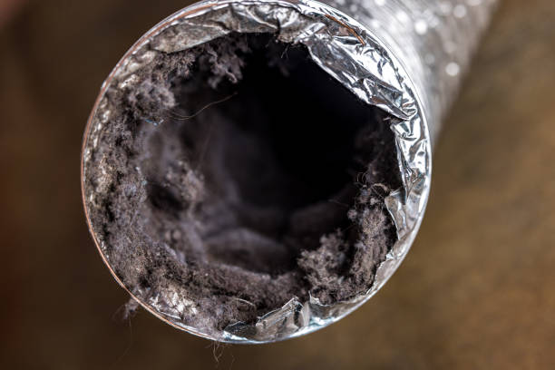 Best Affordable Duct Cleaning Services  in Nocatee, FL