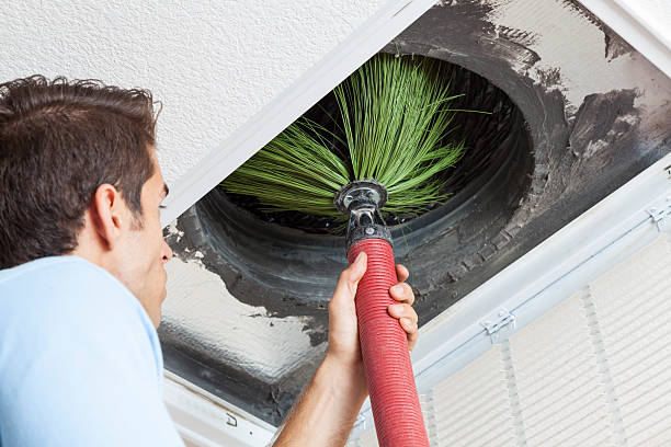 Best Air Duct Cleaning Near Me  in Nocatee, FL